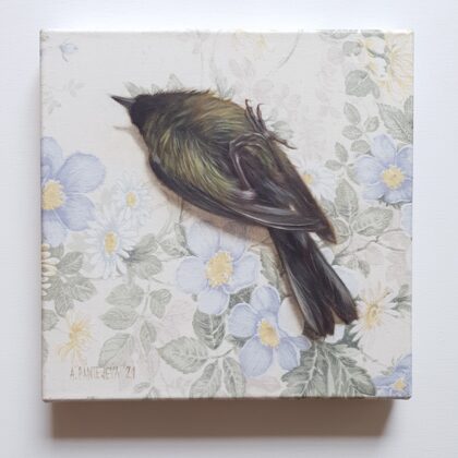 "Great tit found on Valmieras street", oil on canvas, 20x20cm, 2021. Available