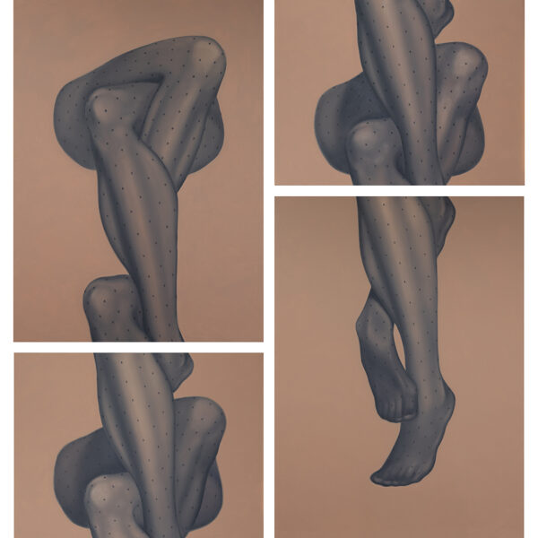 fleshes